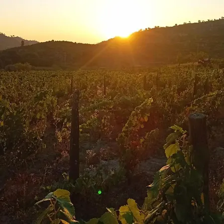 Casa Major Bed & Breakfast Pegarinhos