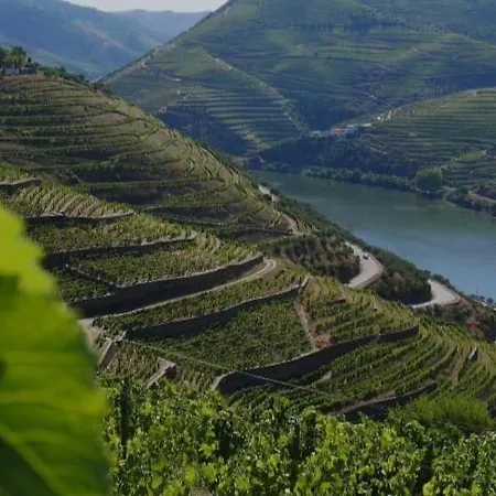 Bed & Breakfast Casa Major *