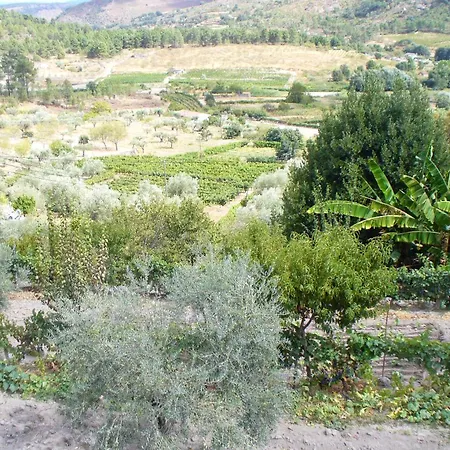 לינה וארוחת בוקר Casa Major