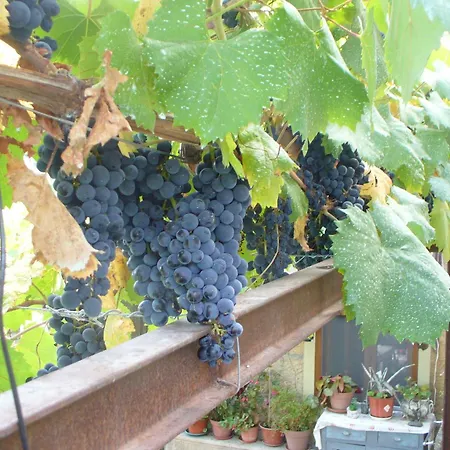 Nocleg ze śniadaniem Casa Major Pegarinhos