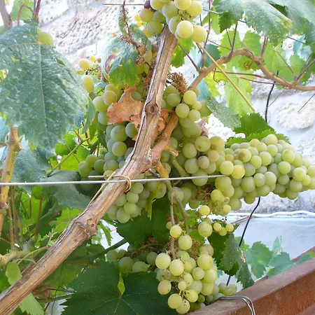 Casa Major Bed & Breakfast *