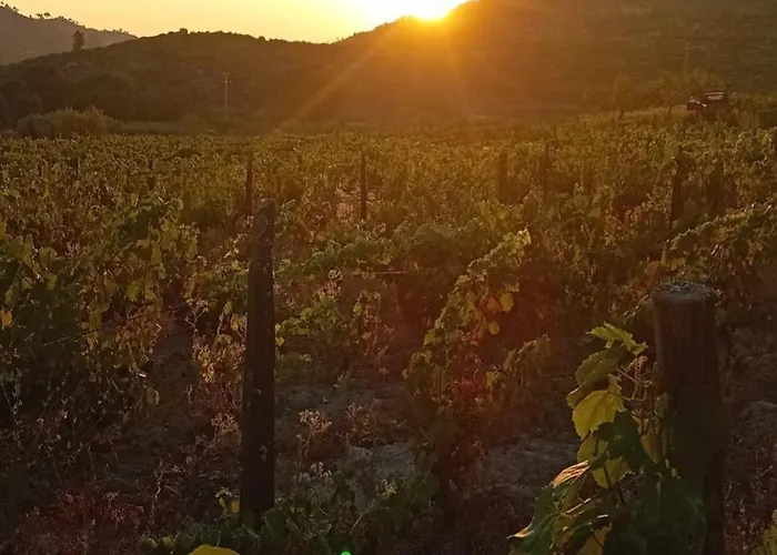 Casa Major Bed & Breakfast Pegarinhos