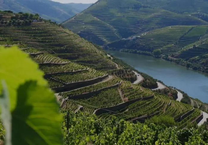 Bed & Breakfast Casa Major *