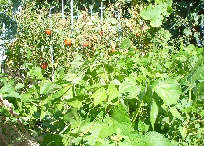 Frühstückspension Casa Major