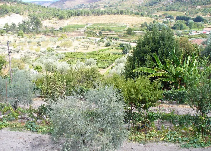 Bed & Breakfast Casa Major