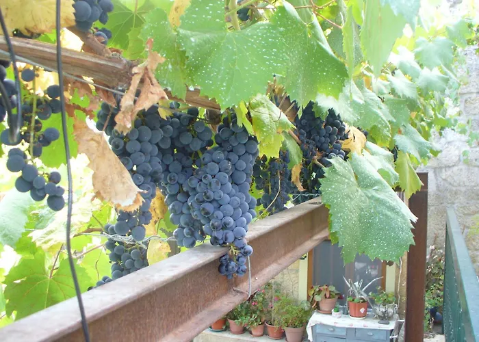 Bed & Breakfast Casa Major Pegarinhos