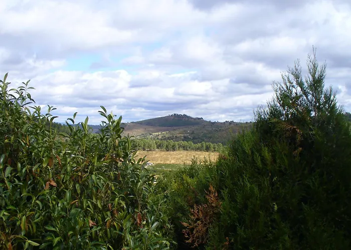 Casa Major * Pegarinhos