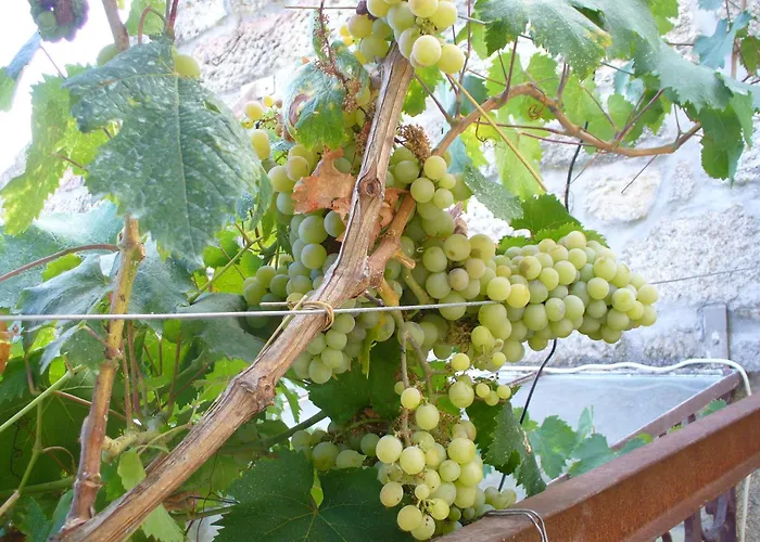 Casa Major Bed & Breakfast *